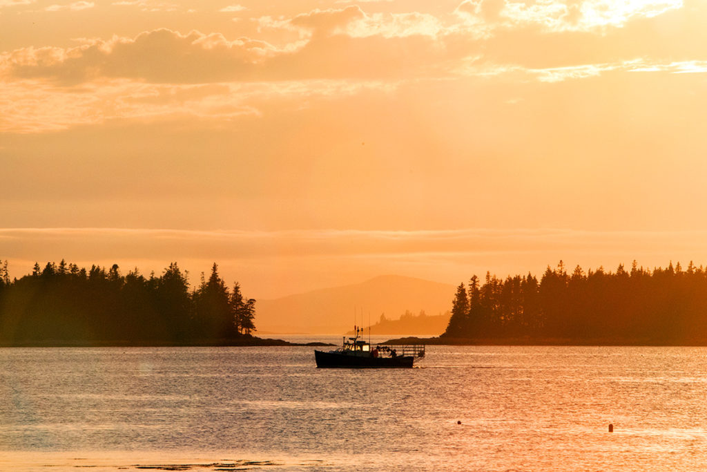 Photo: Island Institute