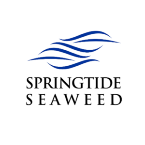 Springtide Seaweed